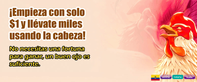 El destino decide por ti